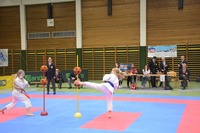 Landesmeisterschaft 2026